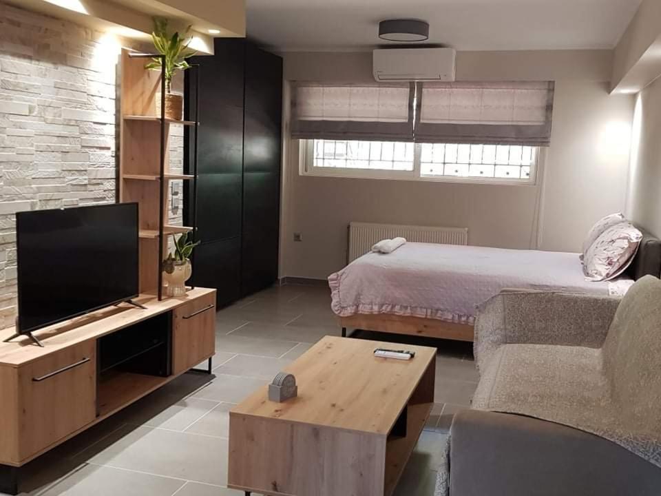 Lefkaditika Luxury Apartment เปรเวซา ภายนอก รูปภาพ